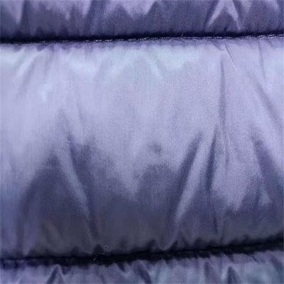 240gsm η μαλακή Shell υλικό 20dx20d 137CM να γεμίσει νάυλον Taffeta ύφασμα