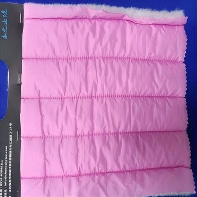 240gsm η μαλακή Shell υλικό 20dx20d 137CM να γεμίσει νάυλον Taffeta ύφασμα