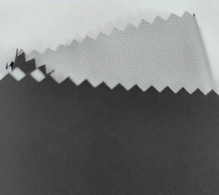 75D*75D 100%P 141±3GSM Υψηλή ελαστικό ύφασμα