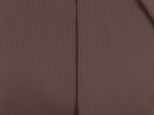 75D+75DT800*75DT800 100%P 121±3GSM Πολυεστερικό ύφασμα